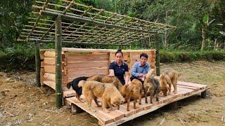 Father & Daughter Build A Dog House Out Of Wood - Handmade furniture - Lý Thị Ca