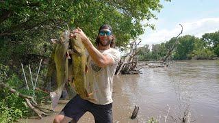 River Fishing Using Set Lines for Flathead Catfish FULL STRINGER