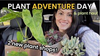 MANY $19 RARE Philodendrons 2 New Plant Shops - Plant Shopping For Indoor Plants & Plant Haul