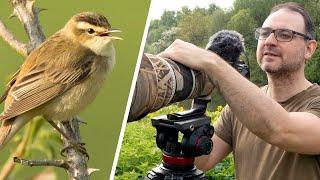 Bird Photography in the Field - The Trick to Photographing Warblers