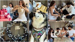 Woofy’s Birthday Shopping Decoration Celebration & Unboxing Gifts  Shilpa Chaudhary