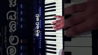 මල කඩ කඩ #mala kada kada keyboard lasson #THRENDING #viralshort #music #keyboard #song