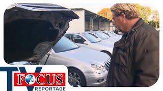 Einen Mercedes in der Auktion ersteigern? Mutige Käufer im Shoppingrausch  Focus TV Reportage