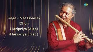 Pandit Hariprasad Chaurasias Flute Melodies  Carnatic Classical Music  Raga - Nat Bhairav