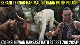 BERANI TERNAK HARIMAU SILUMAN PUTIH POLOS KOLEKSI HEWAN RAKSASA BATU SECRET ZOO 2024