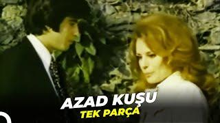 Azad Kuşu  Tarık Akan Hülya Koçyiğit Eski Türk Filmi Full İzle