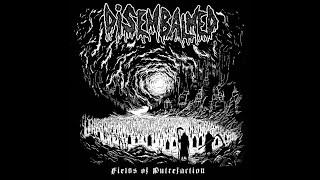 Disembalmed - Fields Of Putrefaction EP 2024