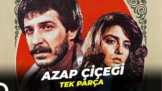 Azap Çiçeği  Eski Türk Macera Filmi Full İzle