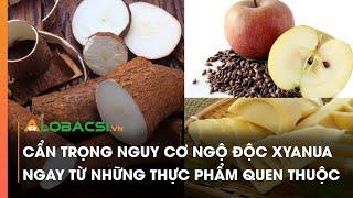 Cẩn trọng nguy cơ ngộ độc xyanua ngay từ những thực phẩm quen thuộc