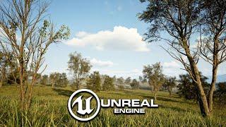 Unreal Engine 5 Beginner Tutorial  Create a Forest Environment in UE5