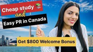 Cheapest colleges and easy PR options in Canada   Get $800 welcome bonus