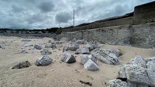 地震で干上がった漁港で7ヶ月生存した奇跡の生物