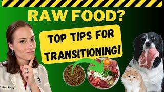 How To Transition Your Pet To A Raw Food Diet Safely To Optimize Gut Health  Holistic Vet Guide