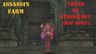 Lineage 2 Essence - Tower of Elmoreden Top Spot