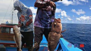 Fishing grouper snapper fishmancing murah hasil melimpah