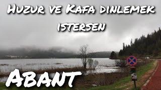 HUZUR SAKİNLİK VE KUŞ SESLERİ ABANT TABİAT PARKI