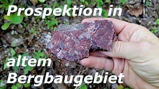 Prospektionstour in altem Eisenbergbaugebiet im Osten des Vogtlandes