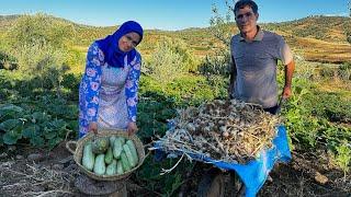 جمع محصول الثوم و إعداد طبق الزعلوك بالقرع البلدية