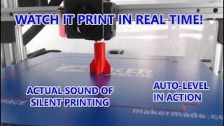 300x Real Time Print Demo