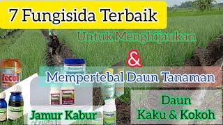 7 Fungisida Untuk Menghijaukan dan Mempertebal Daun Tanaman