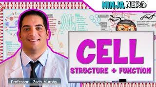 Cell Biology  Cell Structure & Function