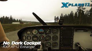 How to Fix the Dark Cockpit in X-Plane 12  RXP XP12 Enhancer