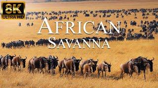 African Savanna 8K ULTRA HD  Wild Animals of African Safari  Relaxation Film