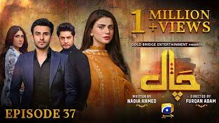 Chaal Episode 37 - Eng Sub - Ali Ansari - Zubab Rana - Arez Ahmed - 7th July 2024 - HAR PAL GEO