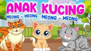 Anak Kucing Meong-Meong  Kucing Lucu  LAGU ANAK INDONESIA POPULER - JUARA KARTUN CHANNEL