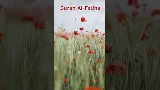 Surah Al Fatiha  Beautiful Recitation  #shorts #shortvideo