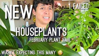 Plant Haul All the New Houseplants I got in February 2023 🪴