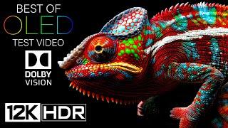 12K HDR 240fps DOLBY VISION OLED Test Video 2024