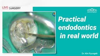 Practical endodontics in real world - Dr. Kim Pyungsik