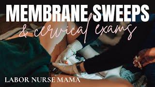 Unlocking The Secrets Of Membrane Sweeps And Cervical Exams In Pregnancy #pregnancy #birth