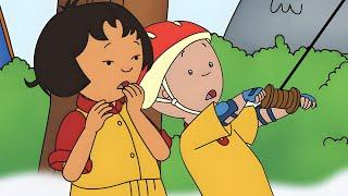 Sarahs New Kite  Caillou Classics