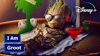 Some Baby Groot to Brighten Your Day  Disney+