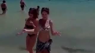 رقص على الشاطئ مصري