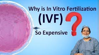 Why is In Vitro FertilizationIVF So Expensive  Dr Padmaja Fertility Center Karimnagar