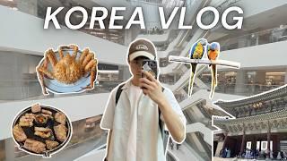 KOREA VLOG  exploring seoul shopping good food pretty views cute animals and more