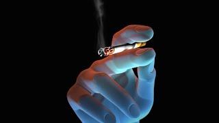 Smoking Causes Cancer Heart Disease Emphysema
