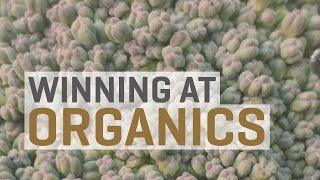 Winning at Organics—Growing Heavy Feeders to Full Potential