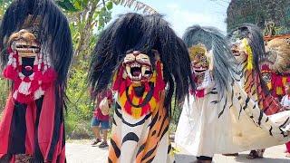 TERBARU  Arak Arakan Barongan Blora dan Reog Ponorogo Sedekah Bumi Sembung Marsudi Budoyo