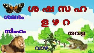 Malayalam Alphabets മലയാളം അക്ഷരമാല  വ്യഞ്ജനാക്ഷരങ്ങൾ ശ ഷ സ ഹ.. ള ഴ  റ