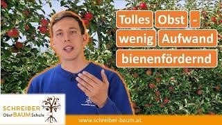 Selbstversorger Tipps - Obst nachhaltig und bienenfreundlich anbauen