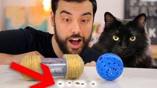 DIY Cat Foraging Toys and will our cat use them?