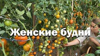 Экскурсия на мой огород мечты  уют в деревенском доме  женские будни