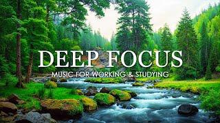 Deep Focus Music To Improve Concentration - 12 Hours of Ambient Study Music to Concentrate #779