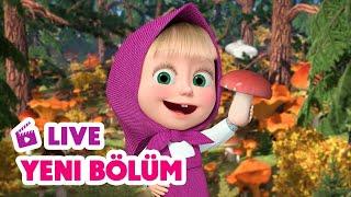  LIVE Maşa İle Koca Ayı   Yeni bölüm   Mantar yağmuru    Masha and the Bear