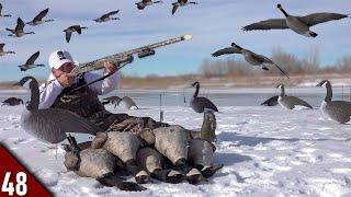 EPIC Solo Goose Hunt on ICE Limited Out  Goose Hunting 2022