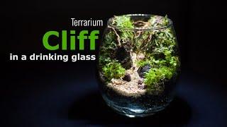 Cliff in a drinking glass  Terrarium